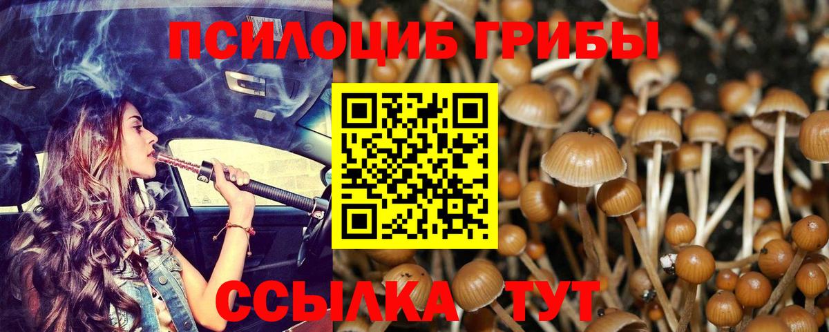 Псилоцибиновые грибы Magic Shrooms  закладки  Барнаул  Вход с VPN 